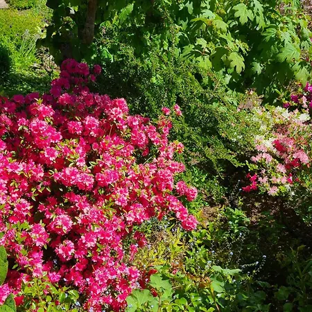 4 Sterne Marlene Mit Grossem Garten Vakantiehuis *