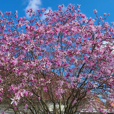 4 Sterne Marlene Mit Grossem Garten