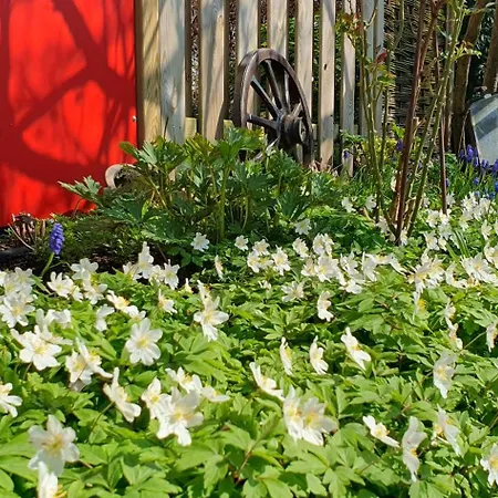 4 Sterne Marlene Mit Grossem Garten Bad Zwischenahn